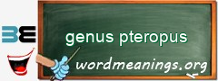 WordMeaning blackboard for genus pteropus